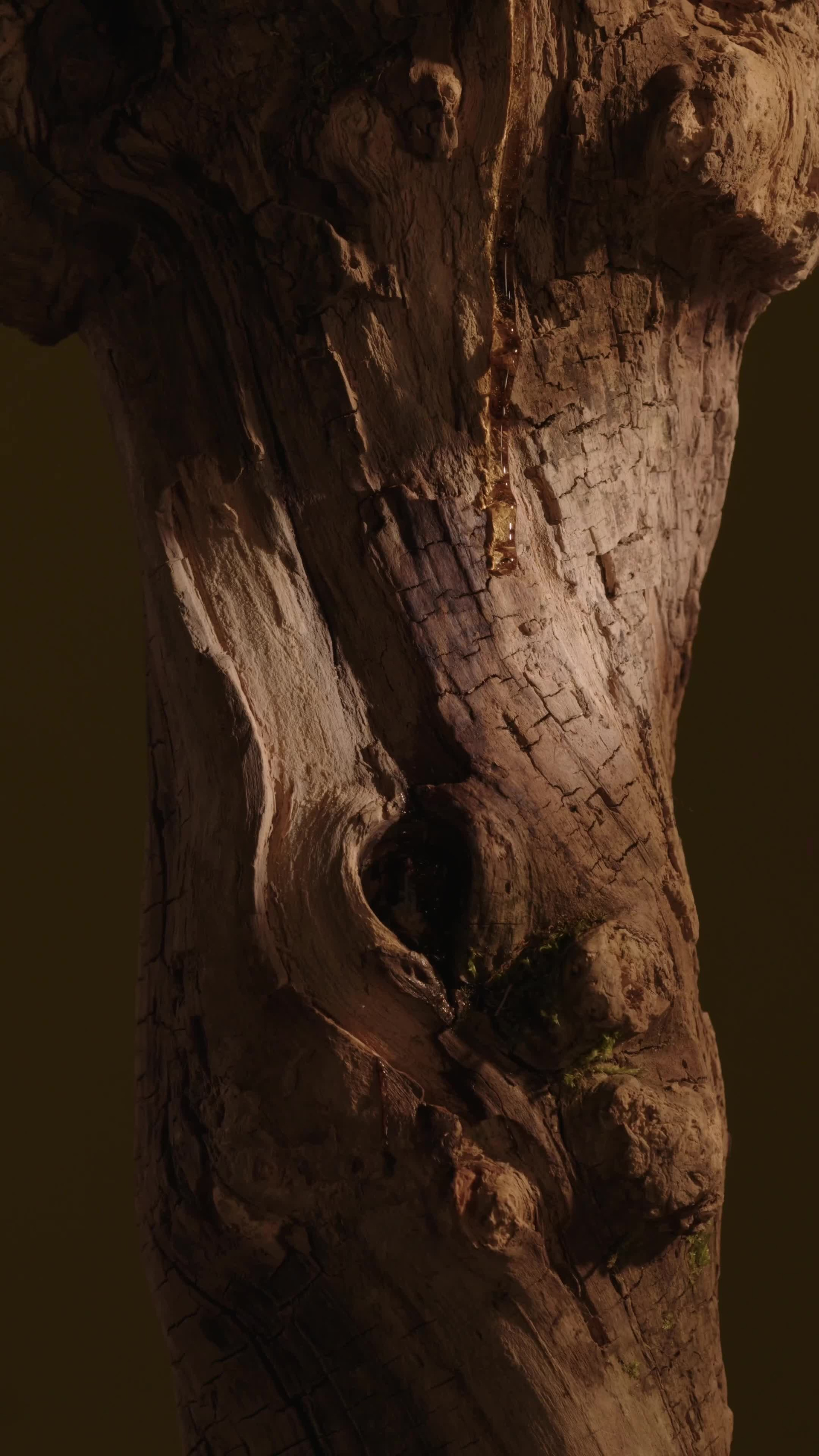 Commercial. Оператор постановщик Денис Трегубов