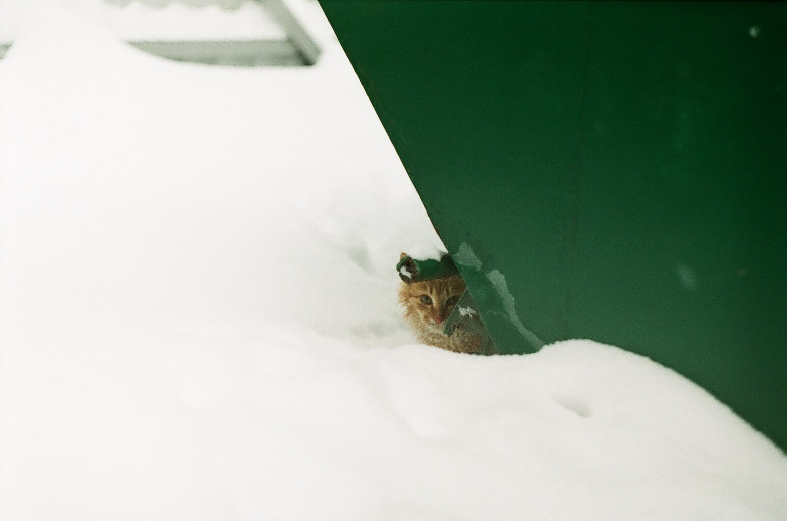 #спецкорНвер