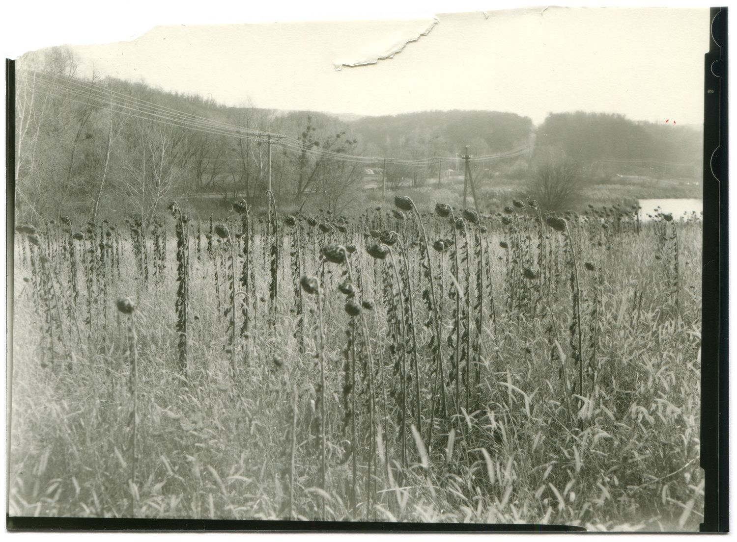 Книга Вика Бакина (Vic Bákin) «Epitome». Private image