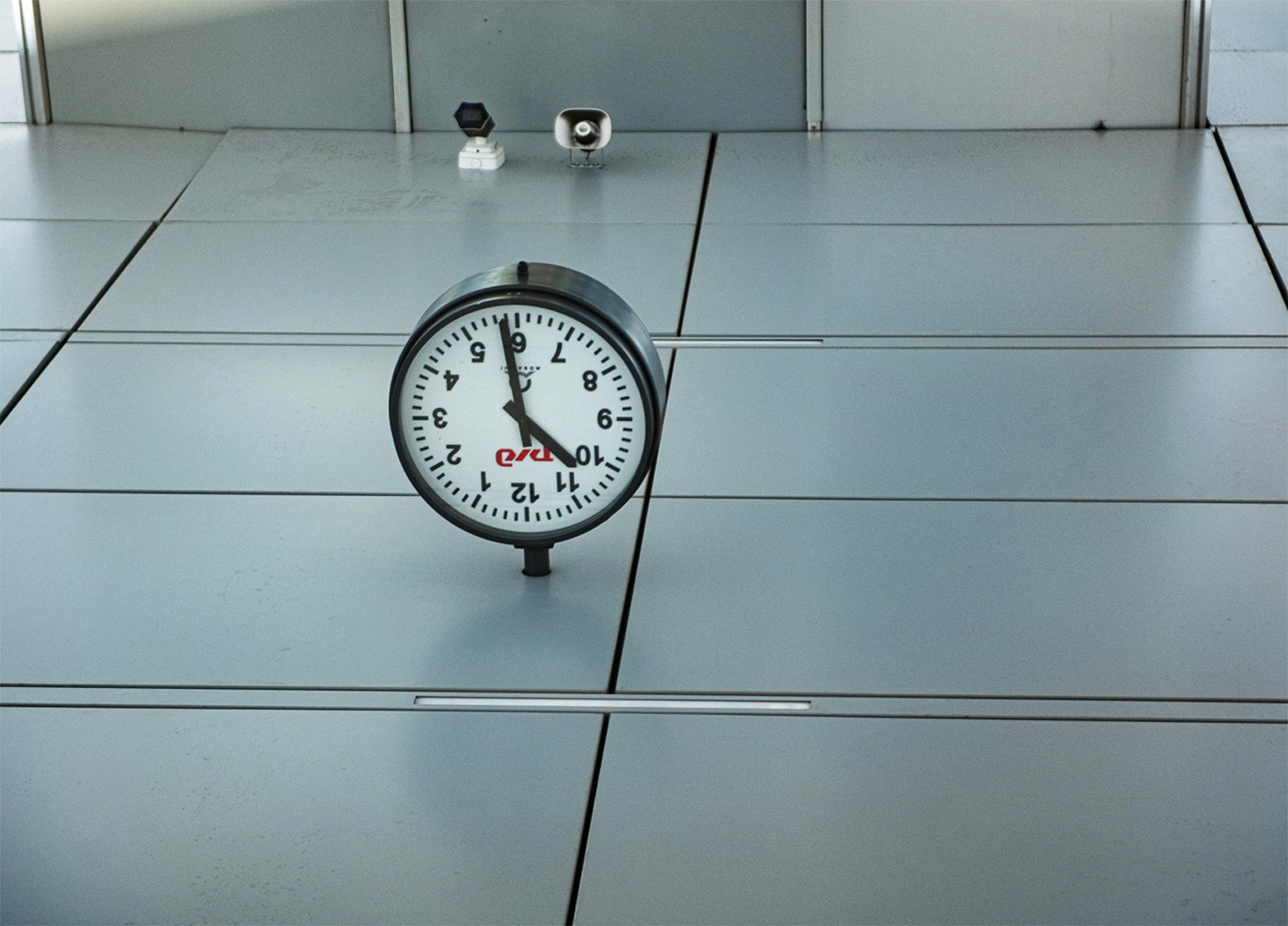 Стася Дмитриева «Москва-Петушки». Самоорганизация Низина