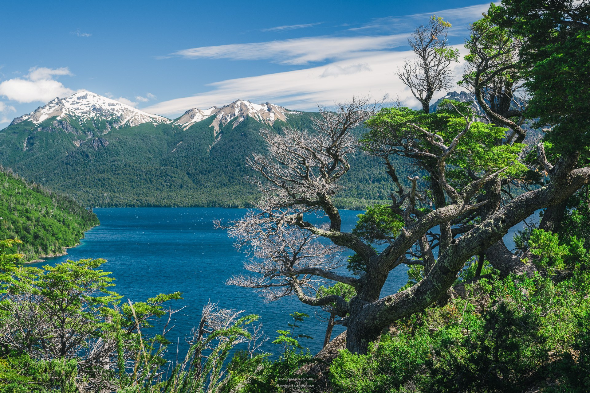 Отзывы о фотографиях. Авторские стильные фотокартины