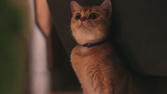 Видео продукт. Тархановский Павел Фото/Видео съёмка