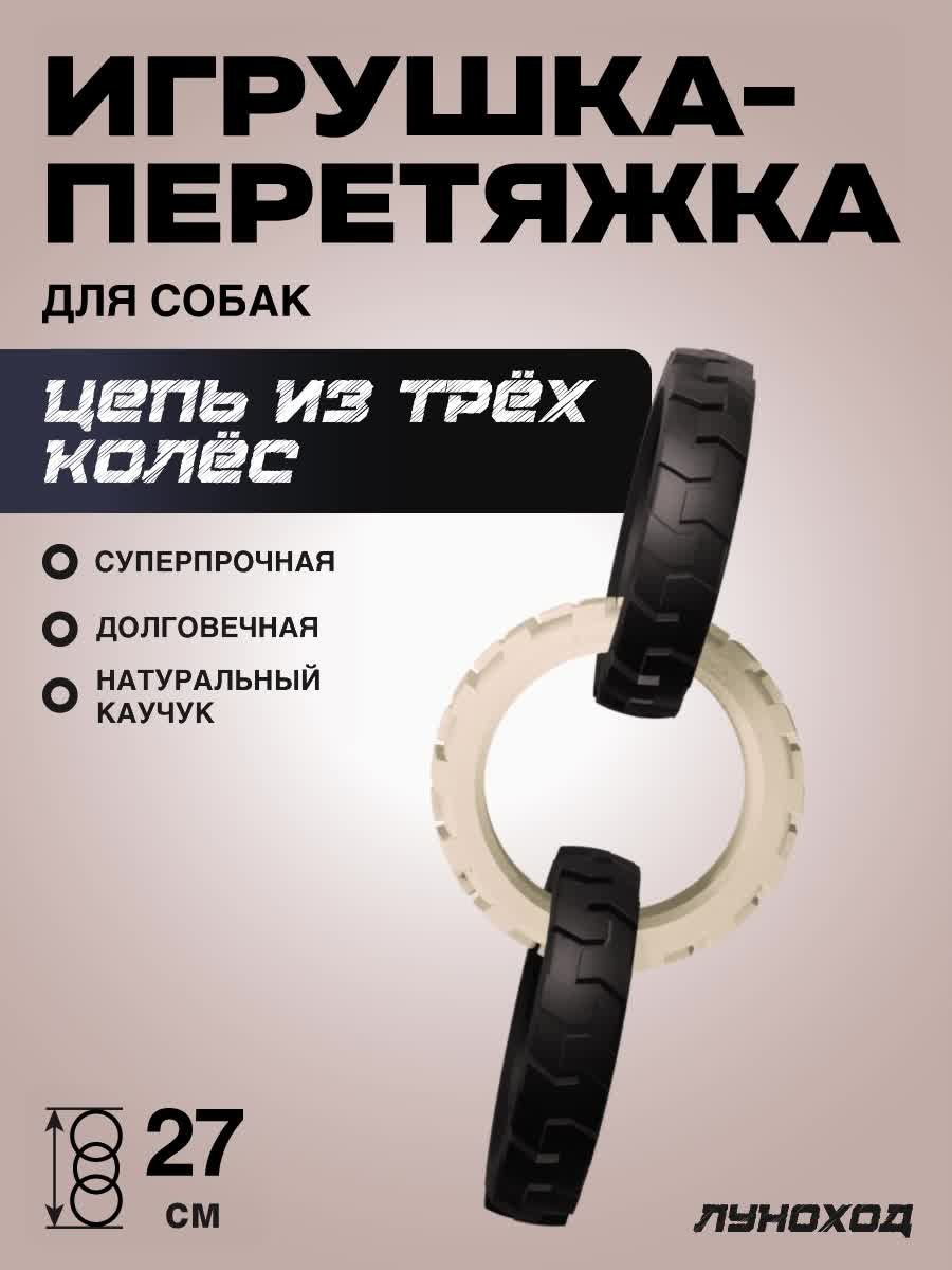 Моушн дизайн