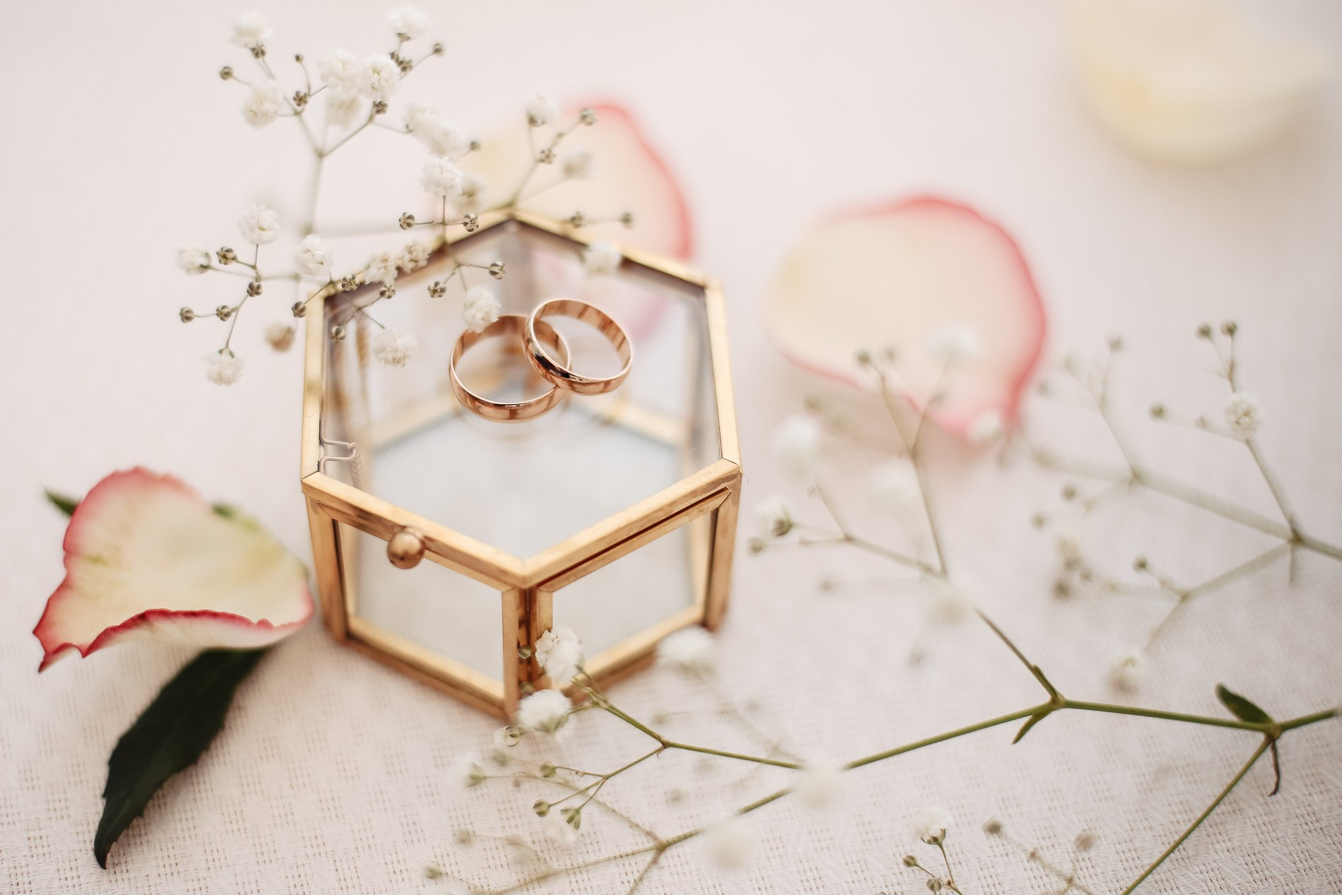 Свадебные истории. Сайт фотографа Арины Зиминой