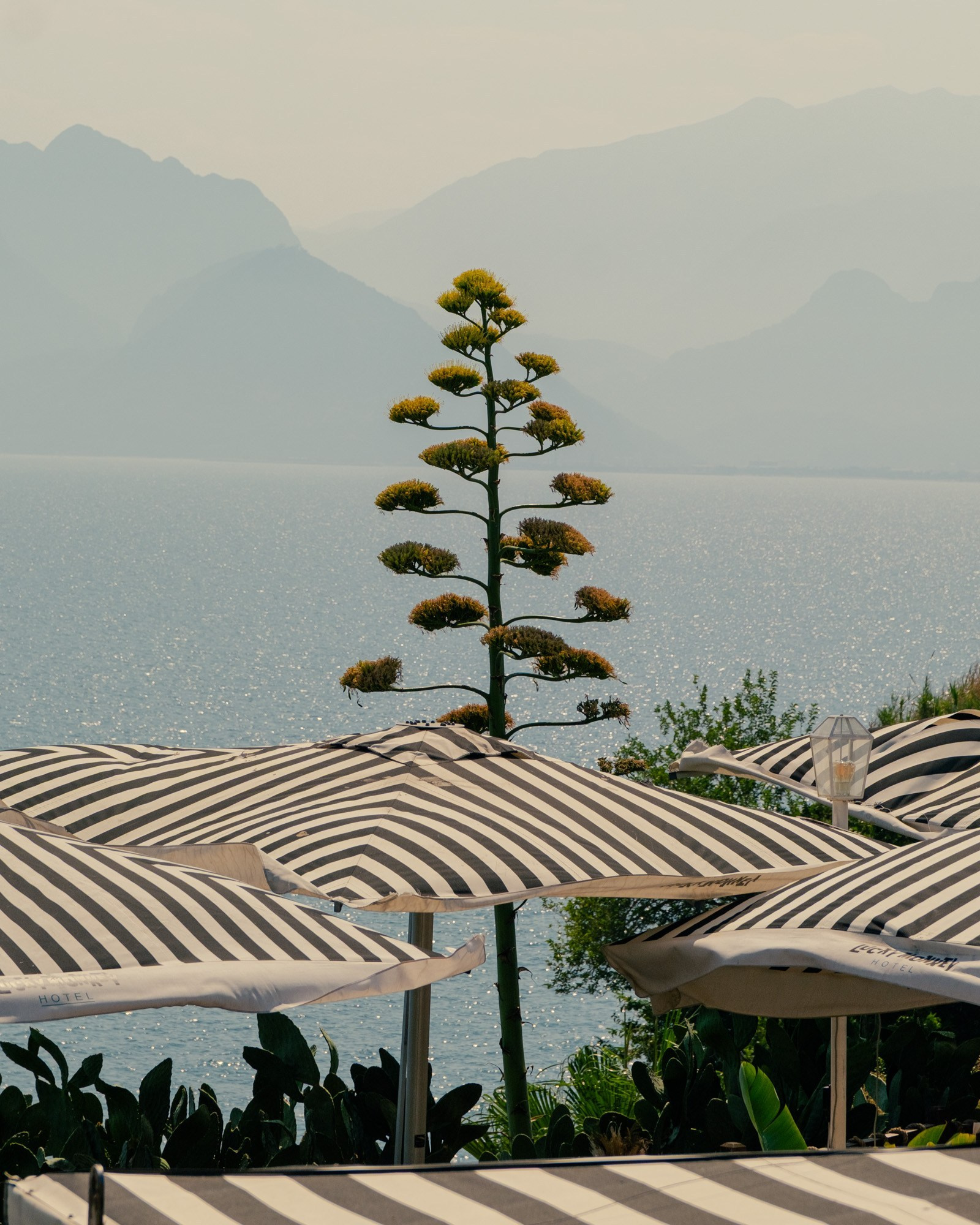 Фотограф Павел Краснов