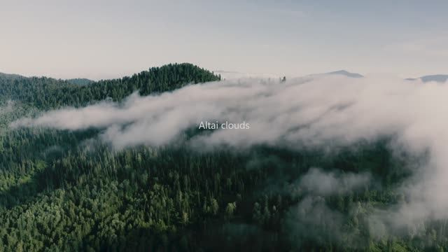 Озеро Телецкое