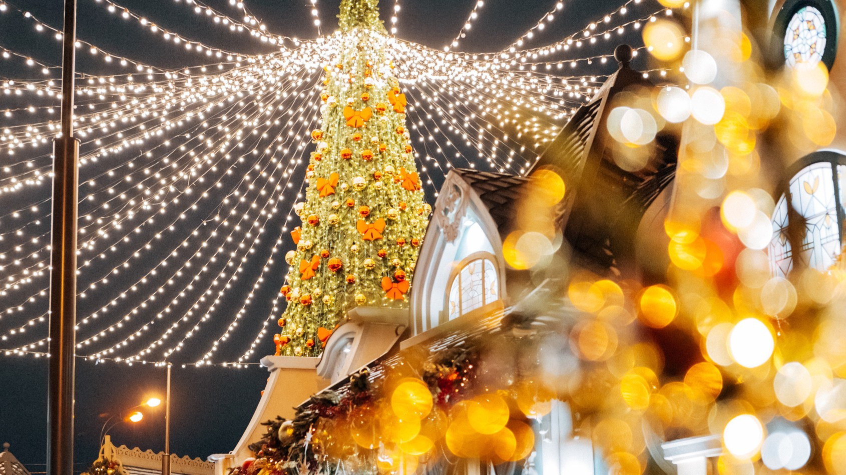 Московские сезоны. Фотограф Владимир Молоканов