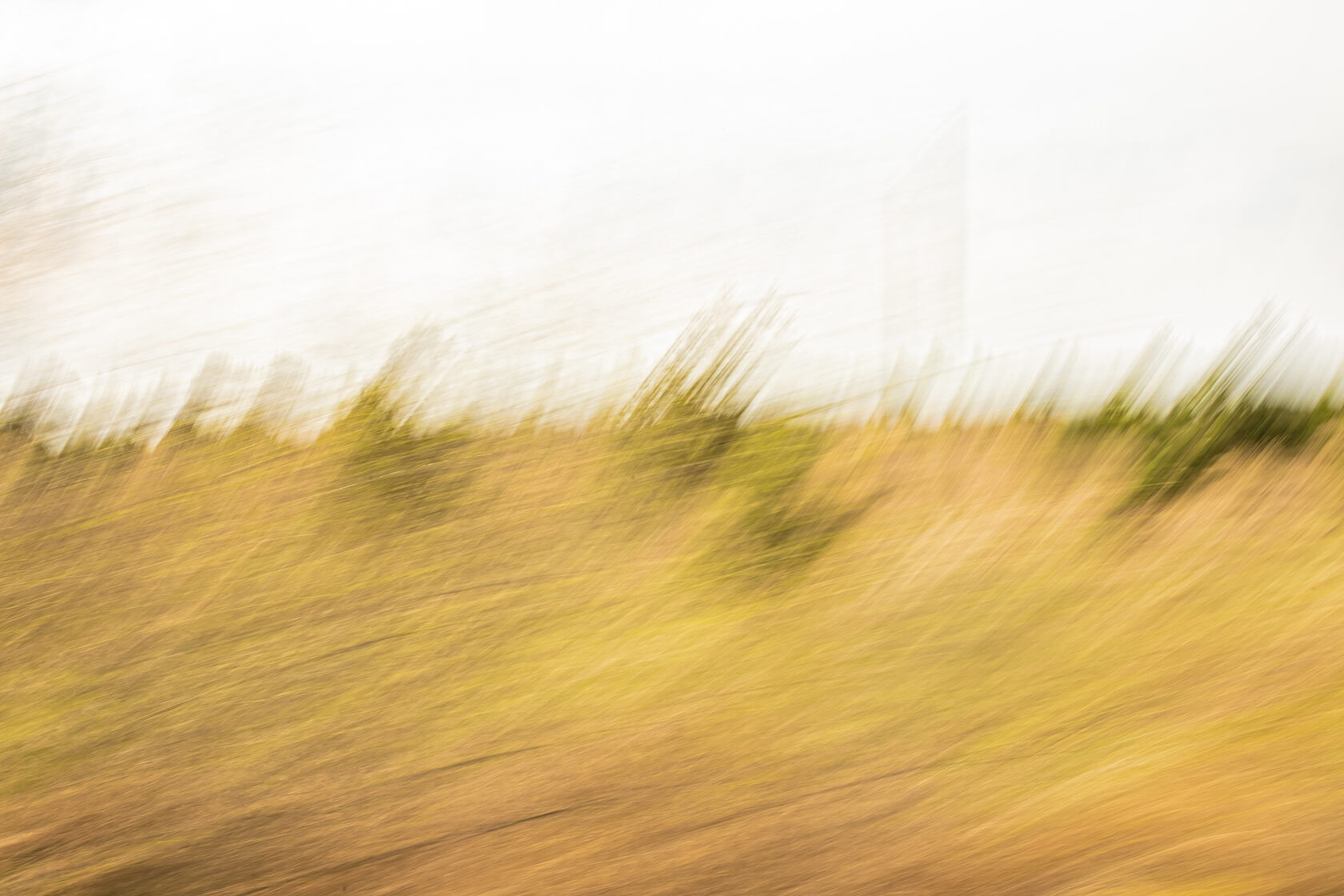 Mixed-media Artist Irina Sokolova