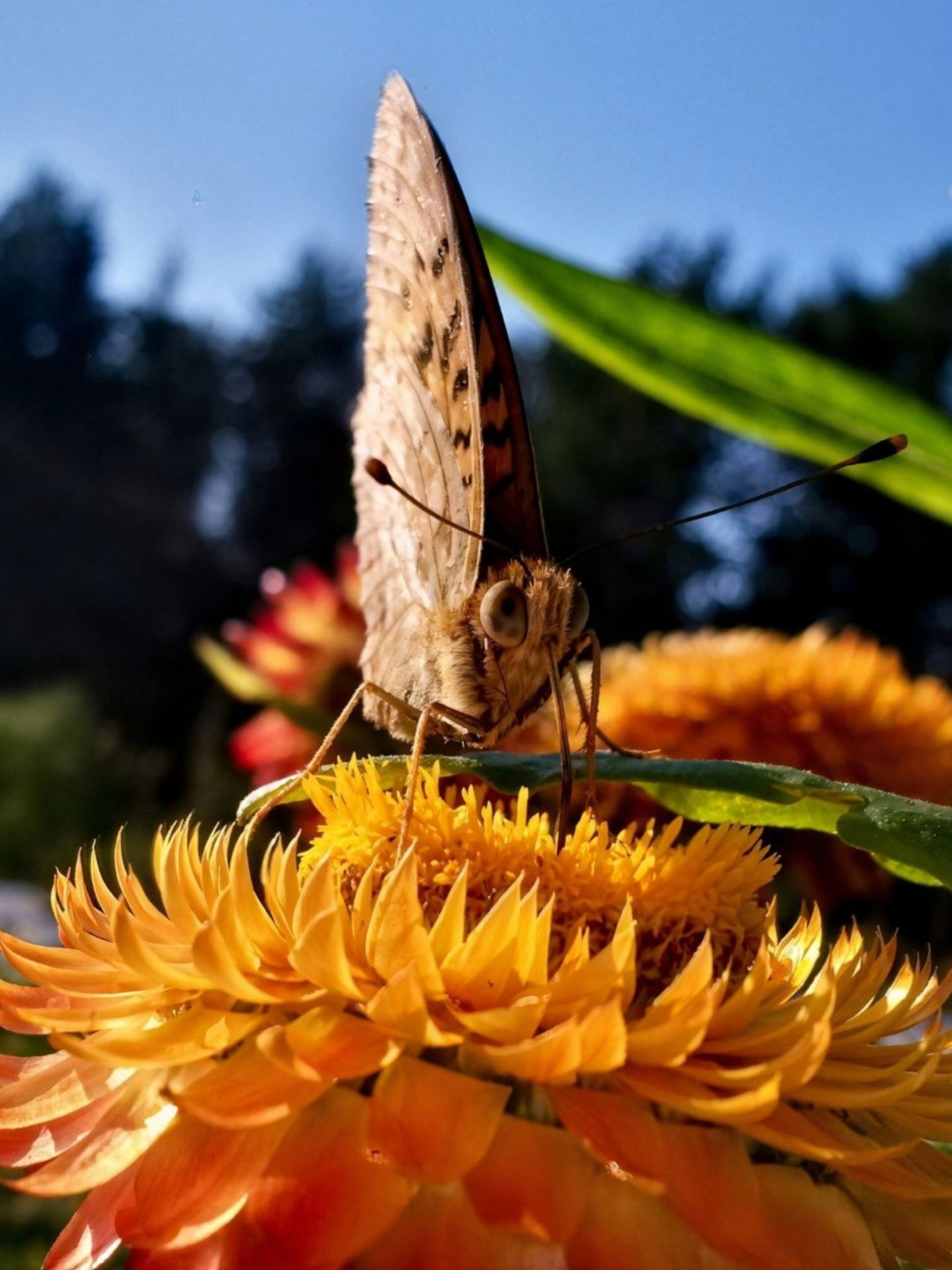 Ростов-на-Дону «МИР В ДЕТАЛЯХ». ARTEXPOPHOTO