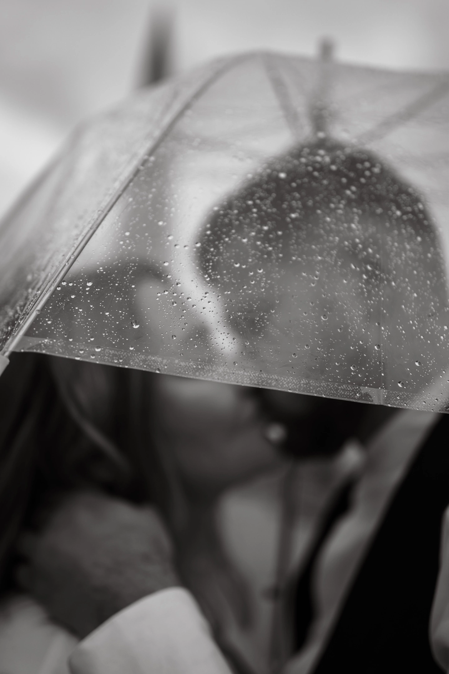 Стоимость. Фотограф в Санкт Петербурге Колантаева Карина