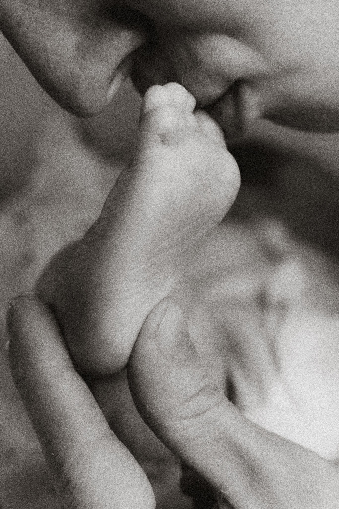 Портфолио. Семейный и свадебный фотограф в Екатеринбурге Светлана Жаркова