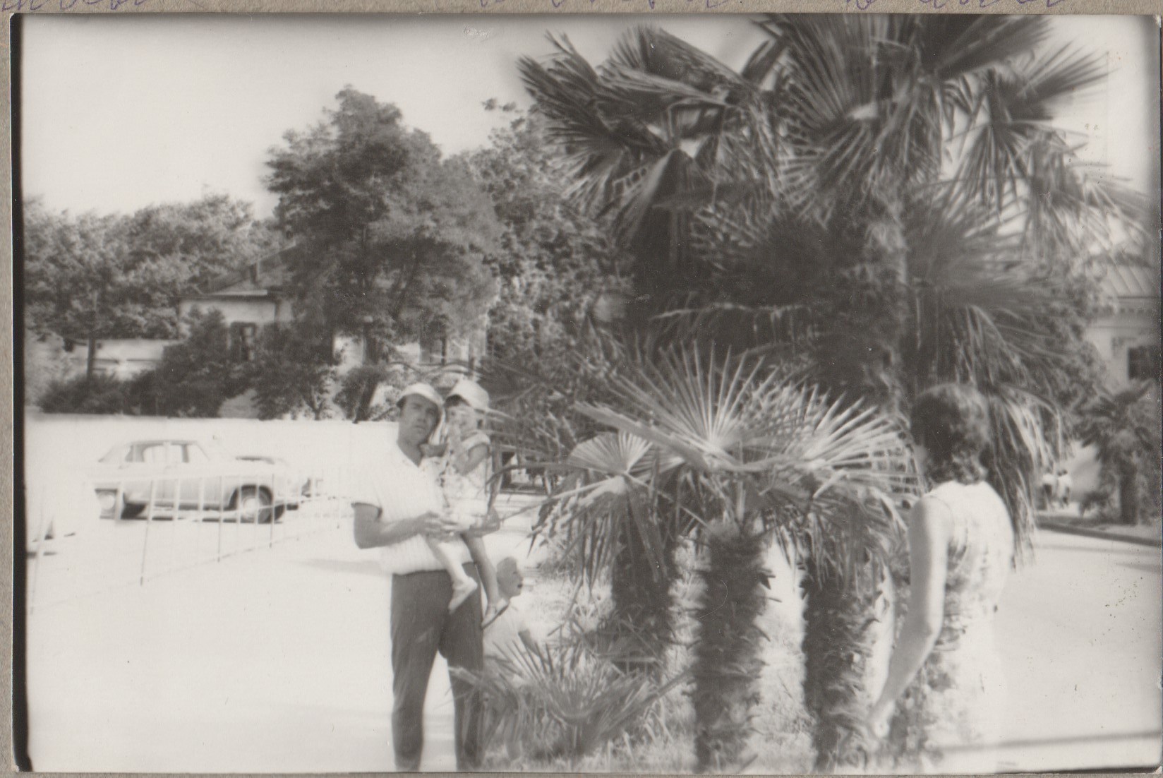 Фотография с пальмой. Курортное дело