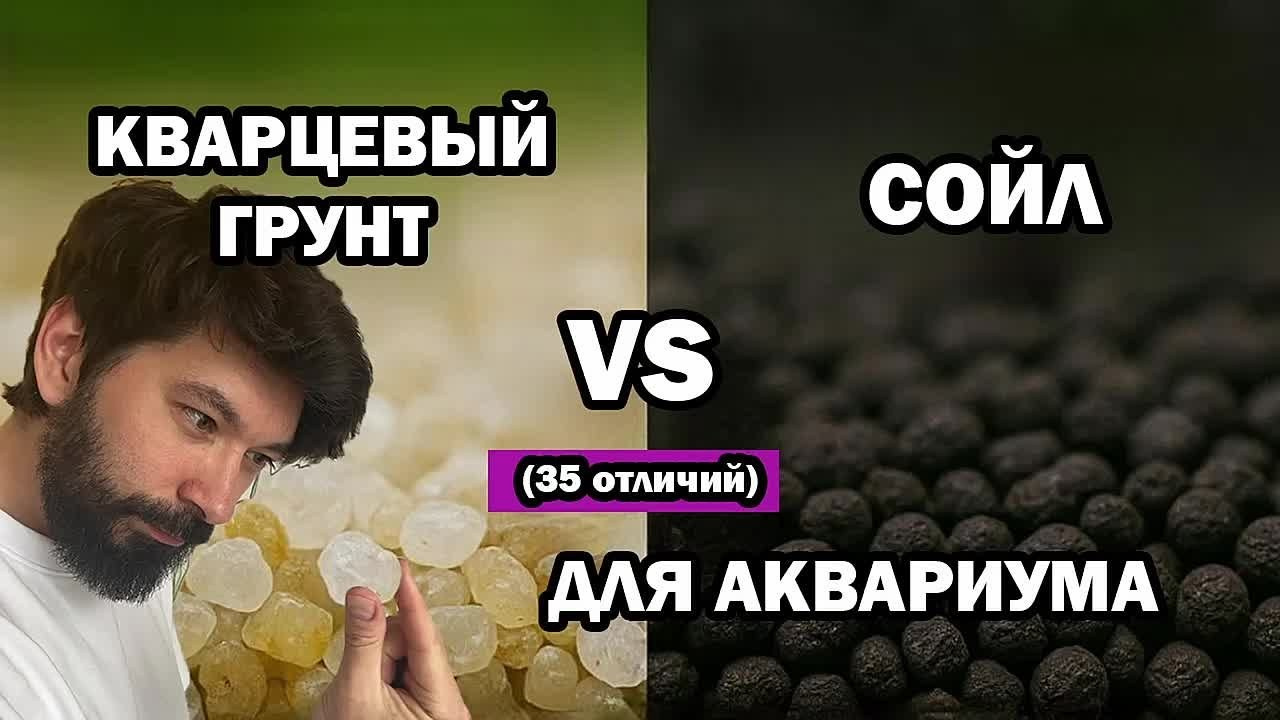 Видео. Аквариумист Максим Ерёмин