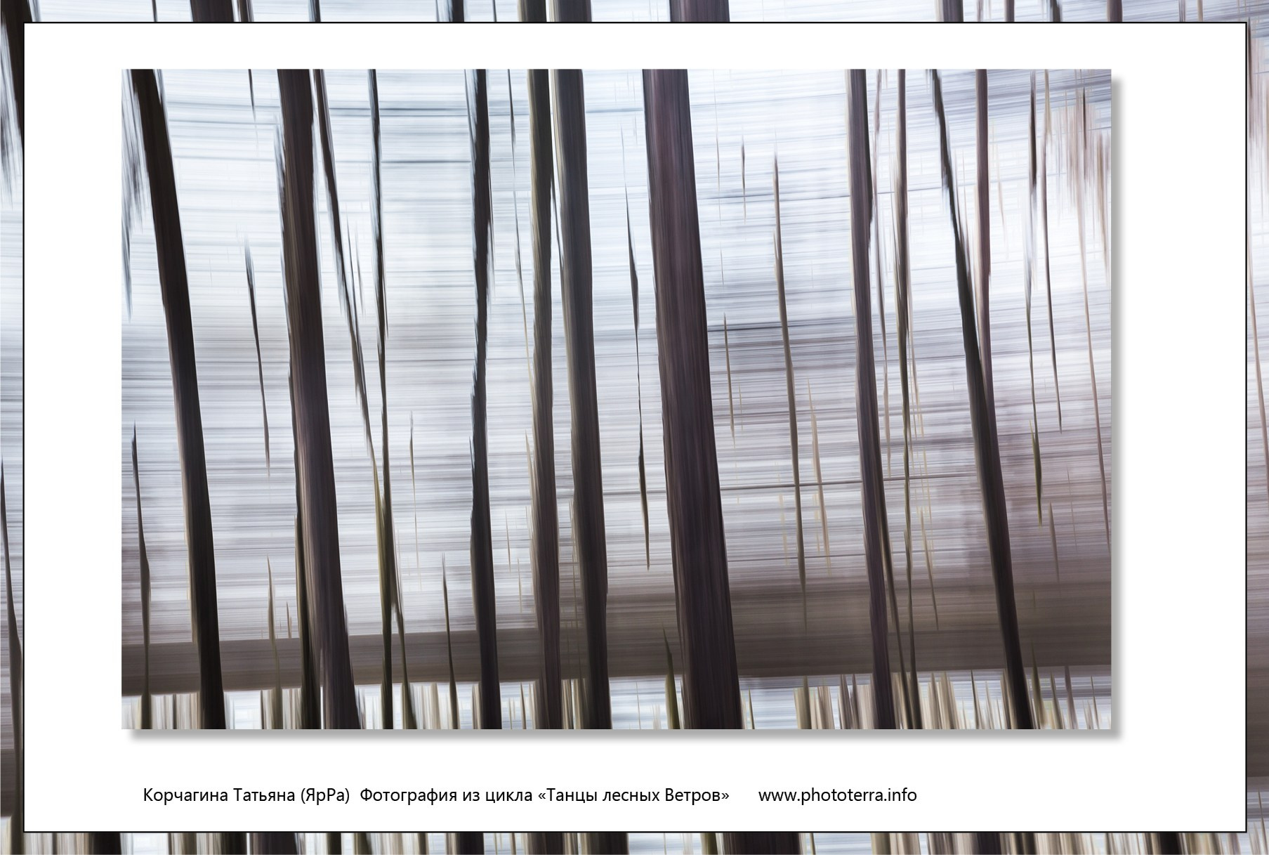 Арт & поэзия. Татьяна Корчагина. Фотограф, художник. Обучение фотографии