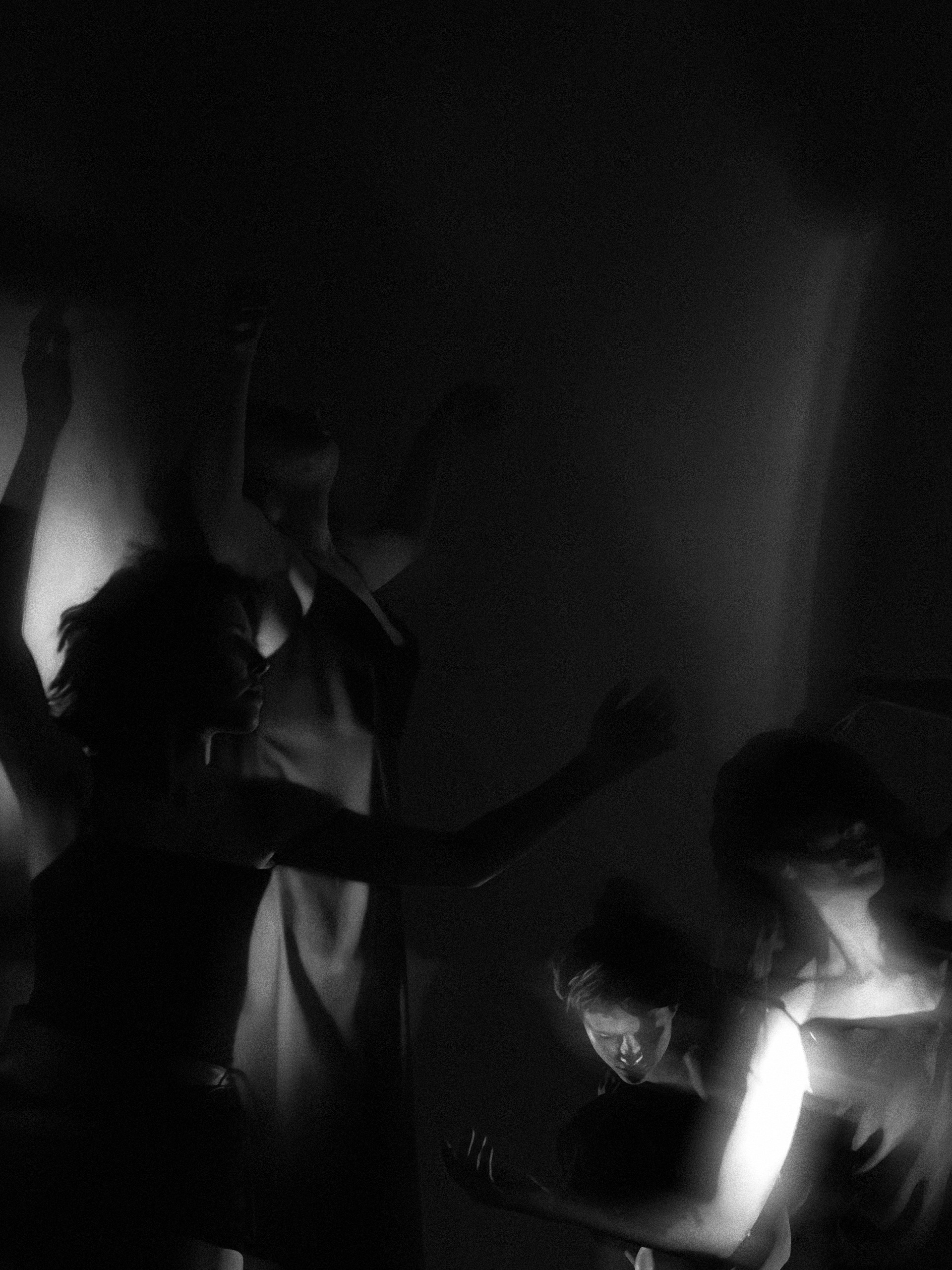 Performance. Portfolio Birdcrush