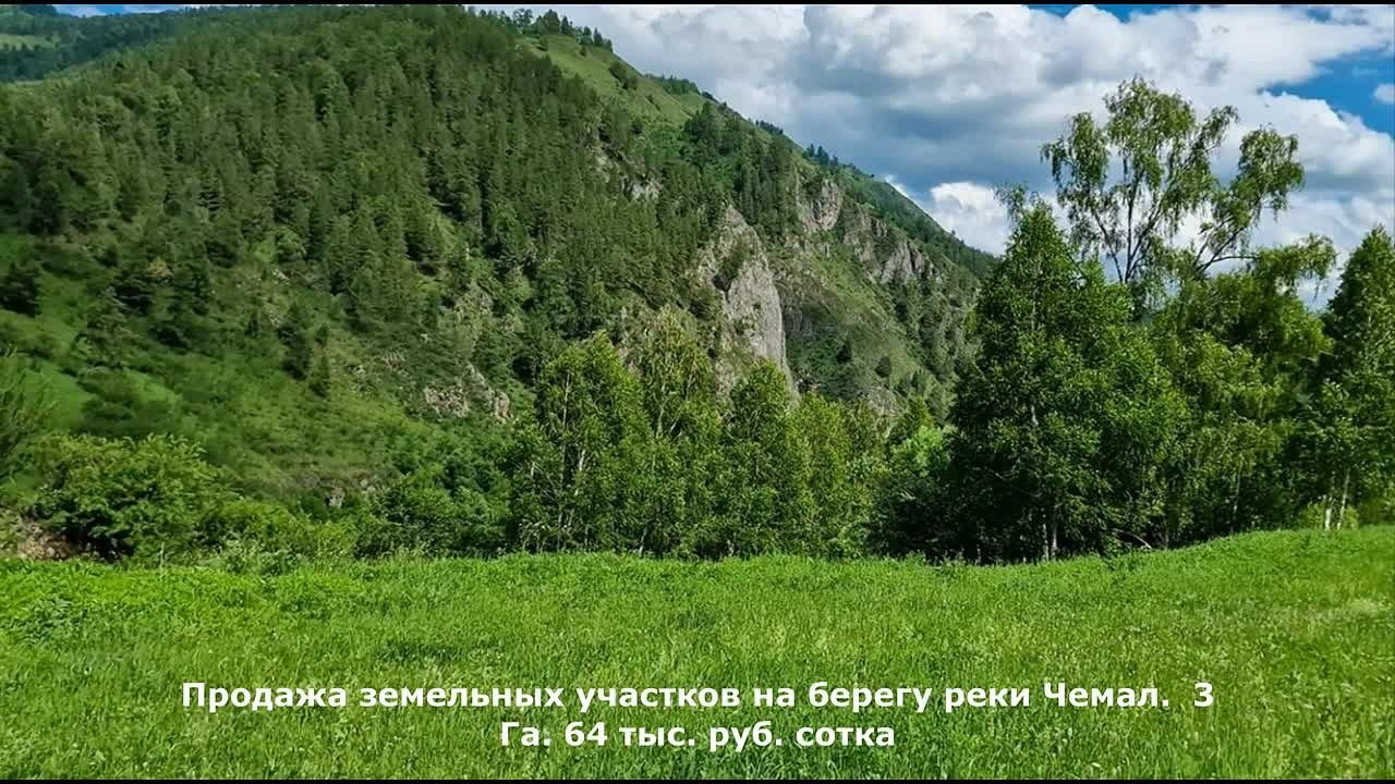 Участки по реке Чемал. Банк земельных участков Алтая