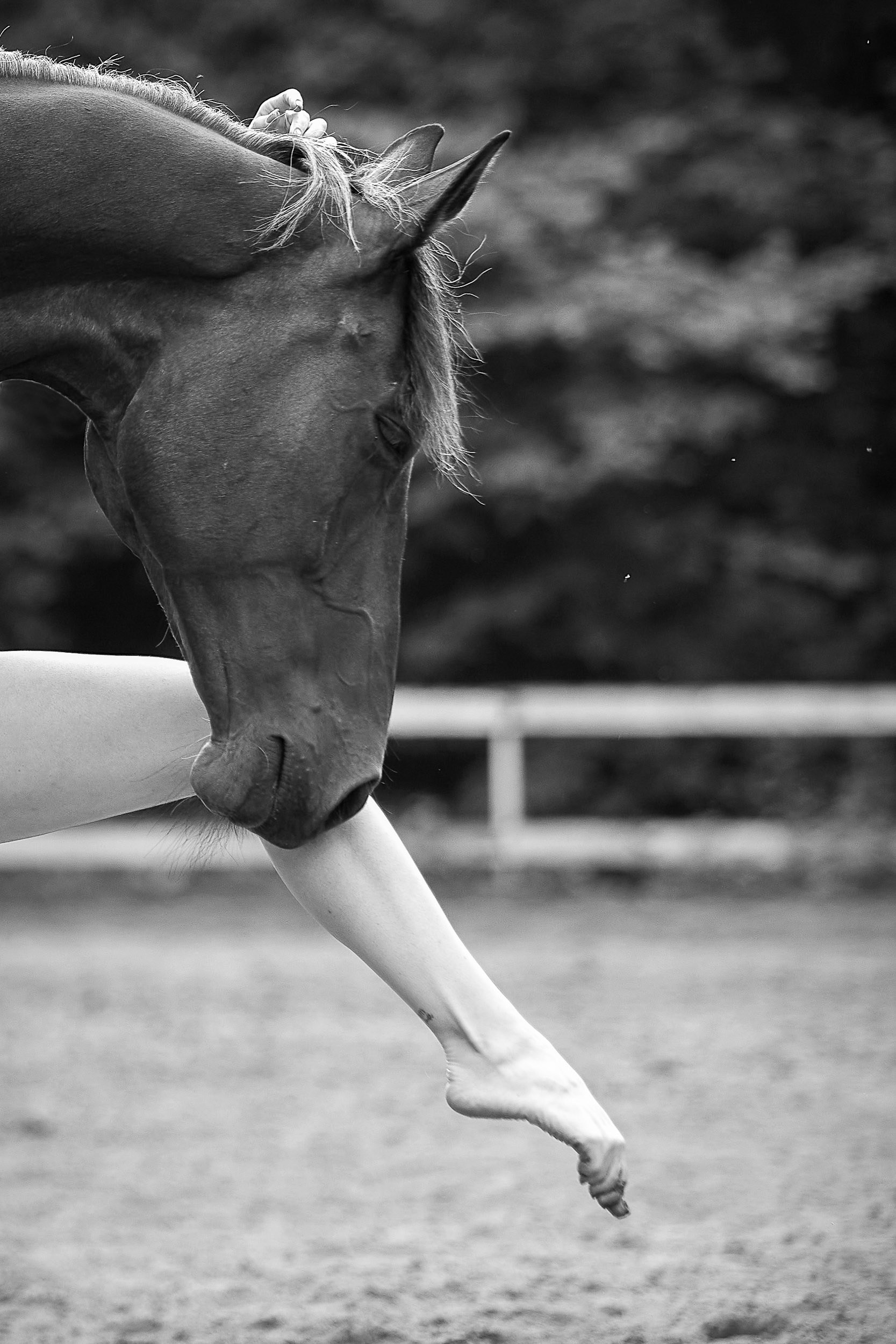 Фотопроекты и съемки на природе, с лошадьми, самолетами и авто. Выездная фотосессия. Фотограф, фотопроекты Михаила Семенова в Ярославле. Фотошкола