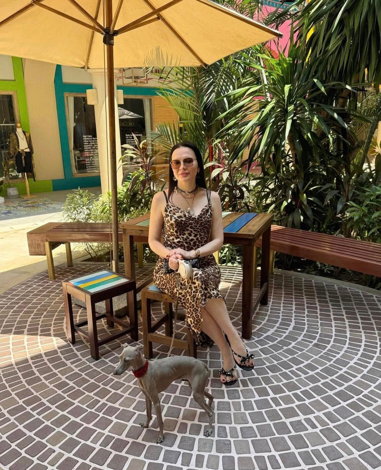 Профессиональный питомник левреток РКФ/FCI ASTI SAPPHIRE 💎 Сочи|Санкт-Петербург