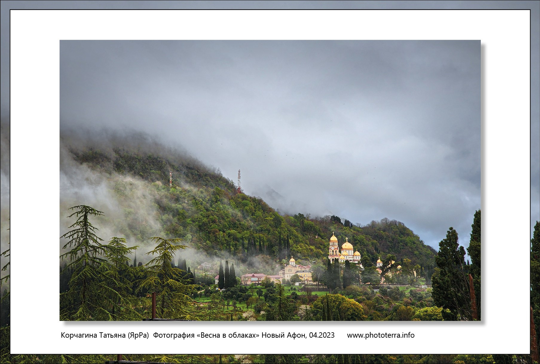 Арт & поэзия. Татьяна Корчагина. Фотограф, художник. Обучение фотографии
