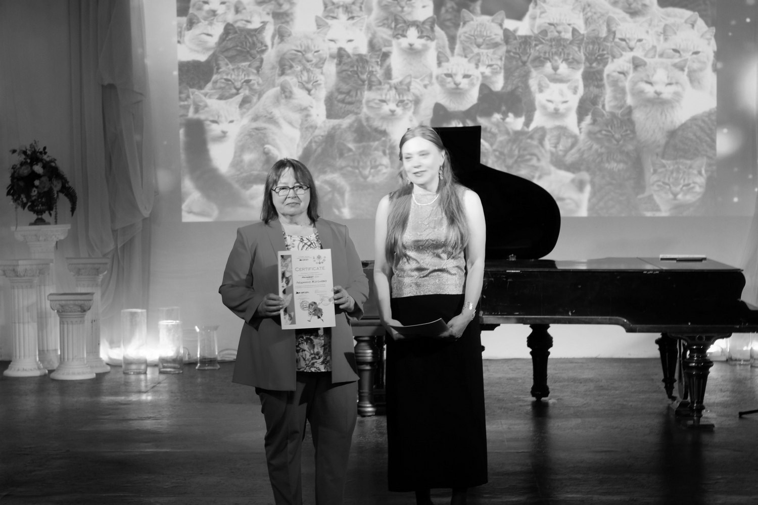 «ПитерКот» ежегодная выставка работ художников. Дом Шрёдера