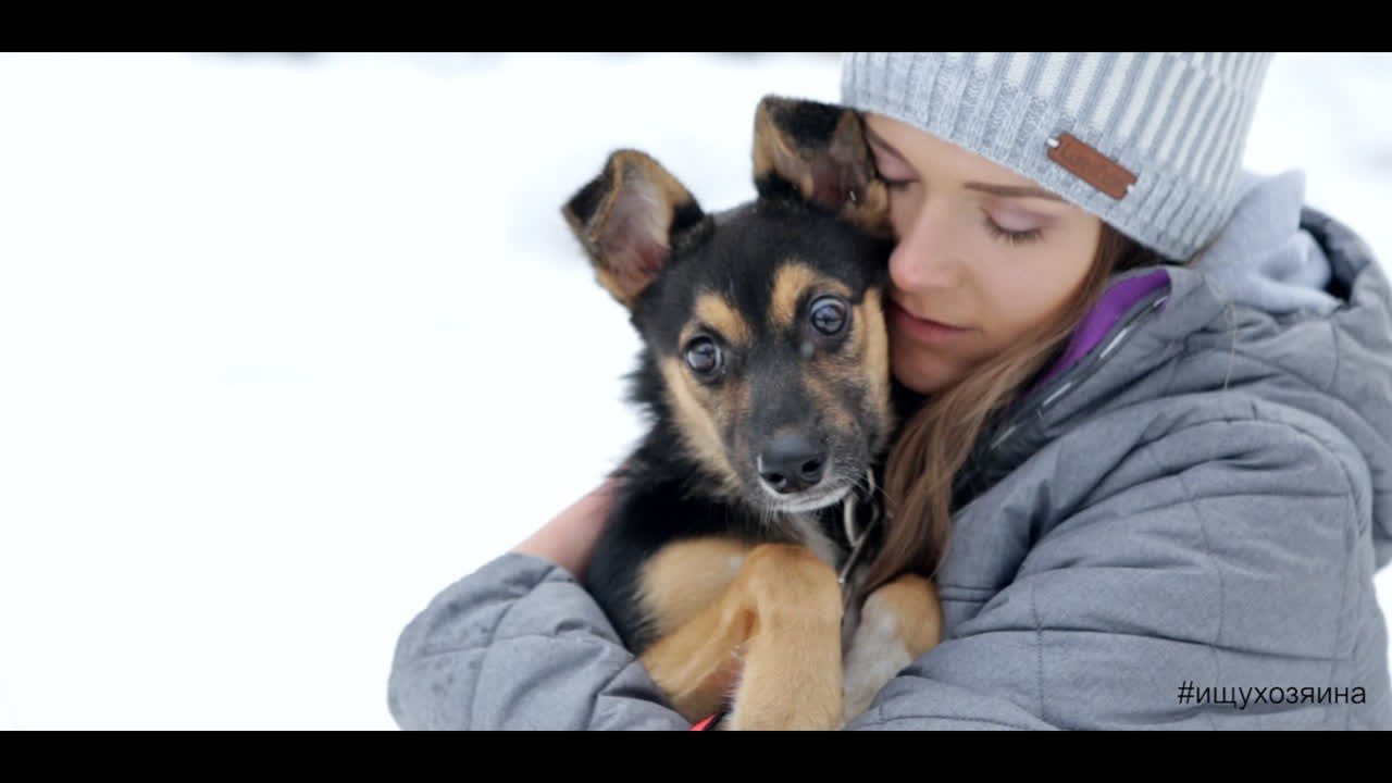Dog’s story Dakota and Sasha. Kasia Teesh. Фотограф и Видеограф. Сергиев Посад