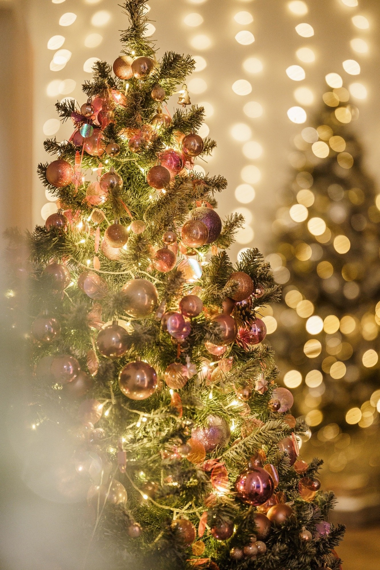 Новогодние Студии Тамбова. Фотограф г. Тамбов г. Воронеж Богдан Тарасов