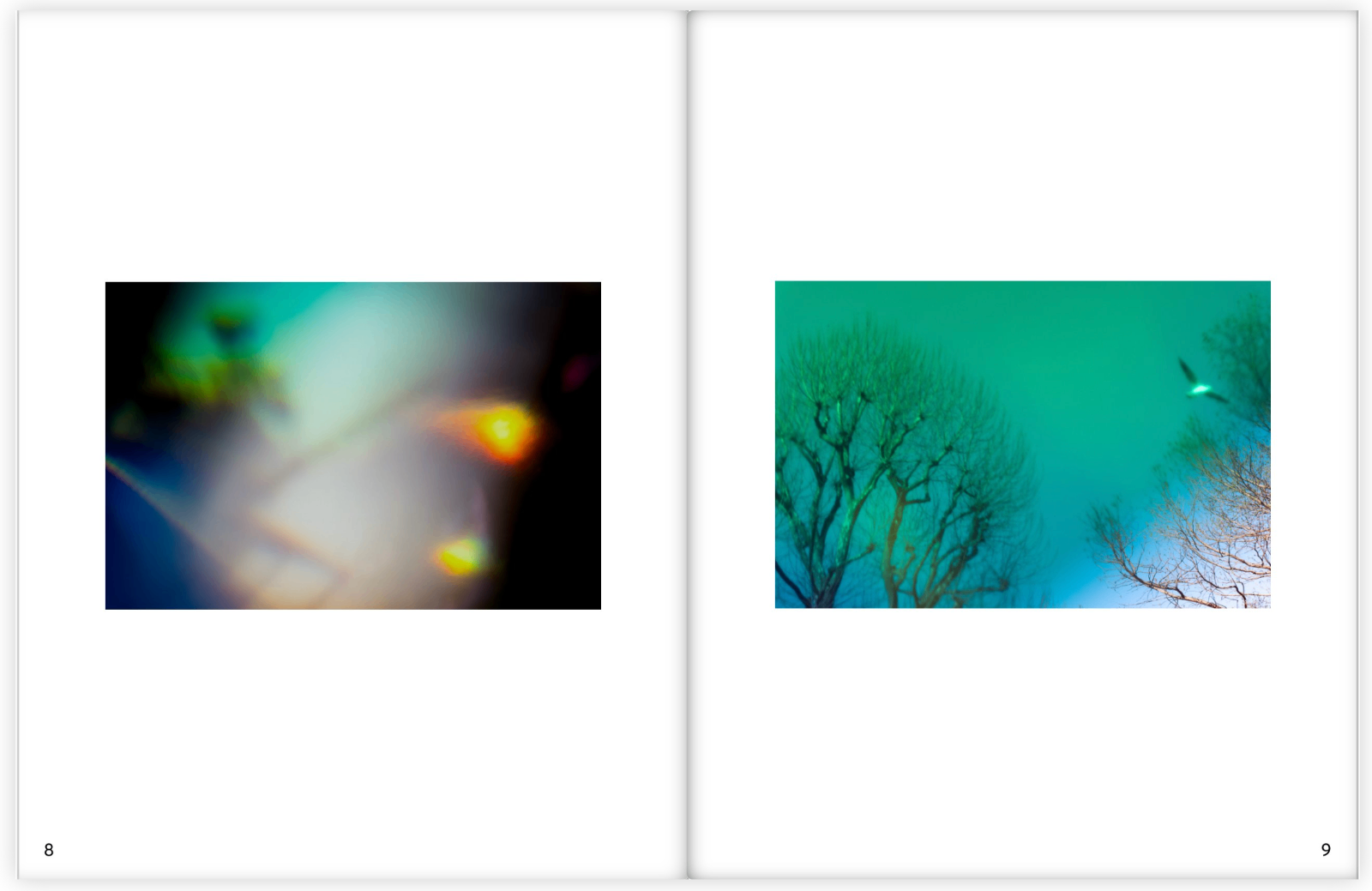 EXHIBITIONS. OLGA NEFF. Artist. Visual, Music, Poesy