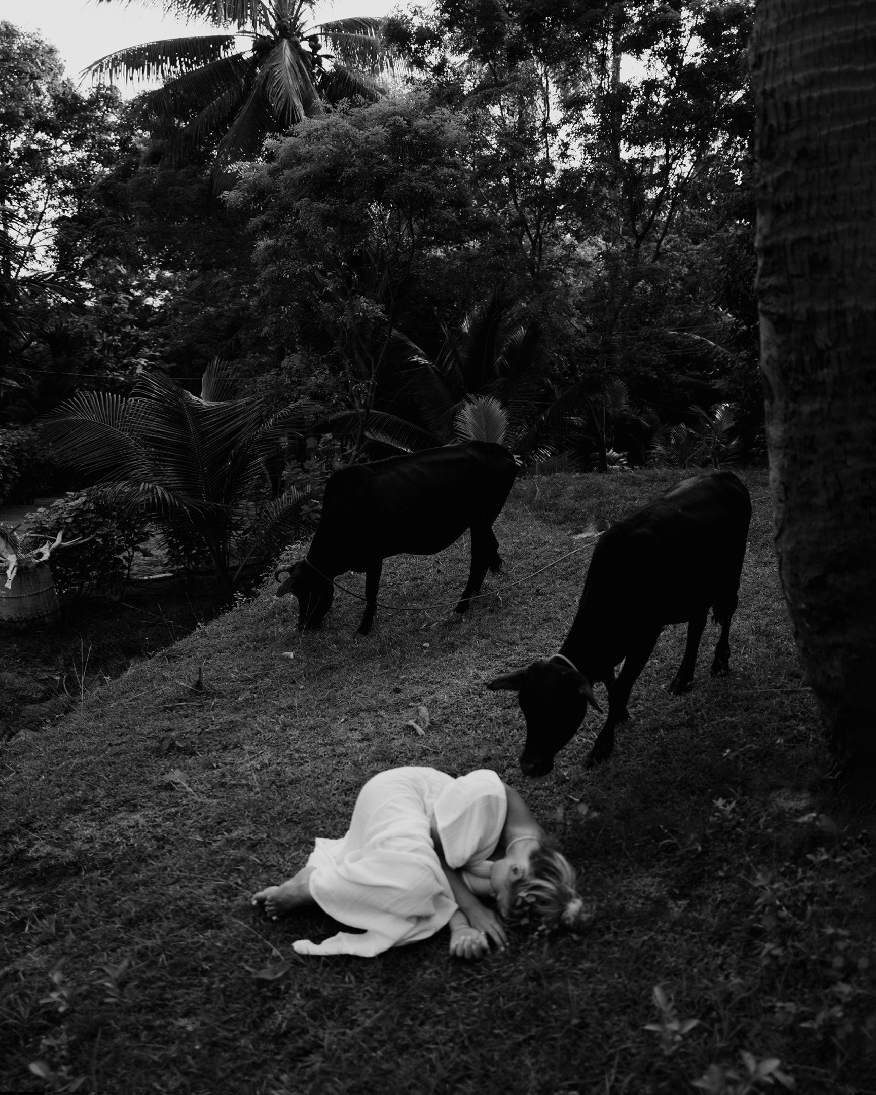 Онлайн-курс. Портретный фотограф в Санкт-Петербурге Алексей Корзов