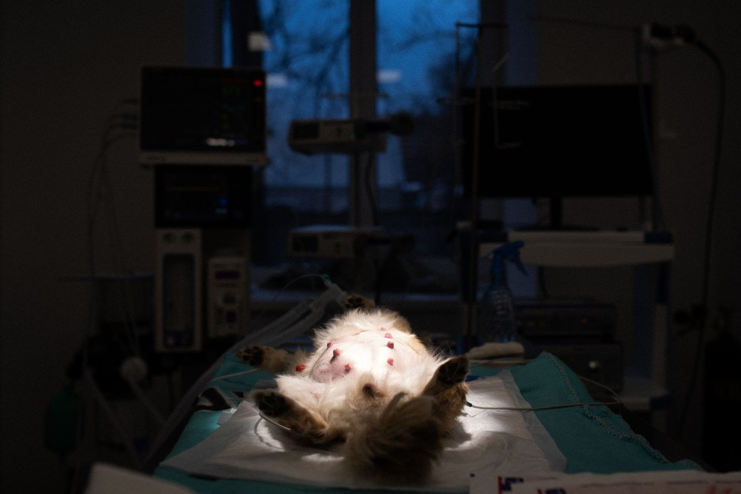 People at Work. Lesha Pavlov