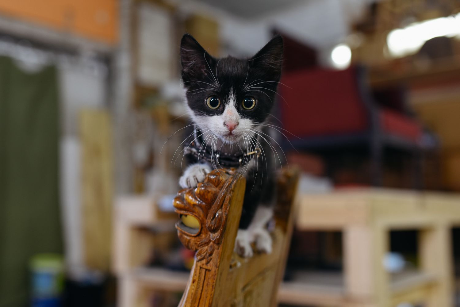 People at Work. Lesha Pavlov