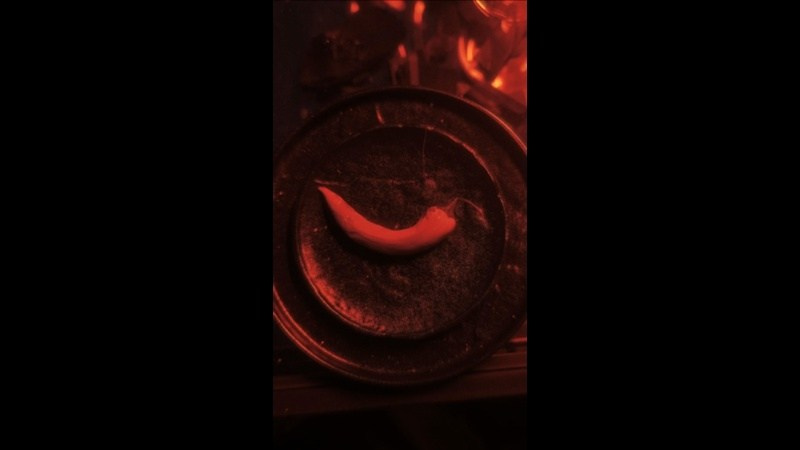 REELS. Finogenov Video