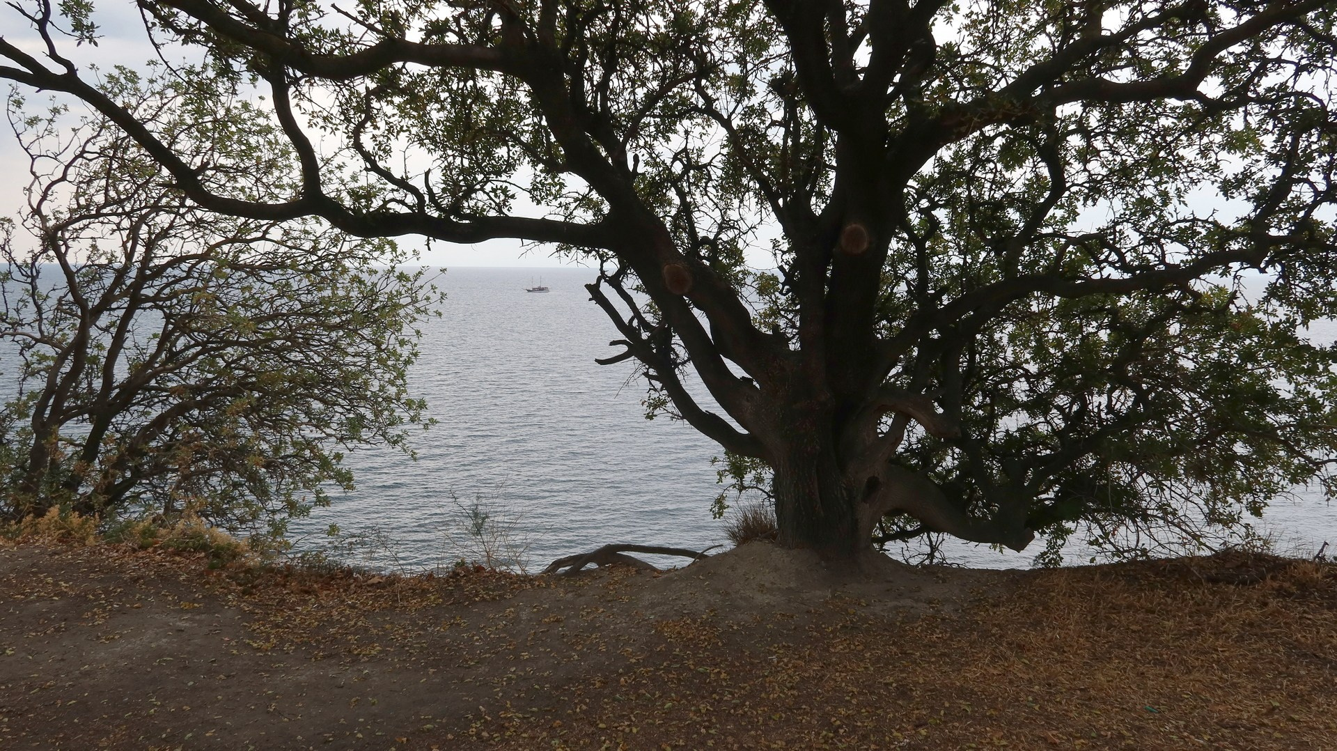 Крым 2020 г. Улица, люди, жизнь…