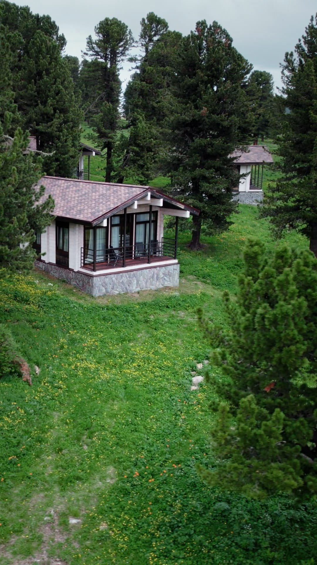 Сотрудничество. Вадим Кононенко — outdoor creating