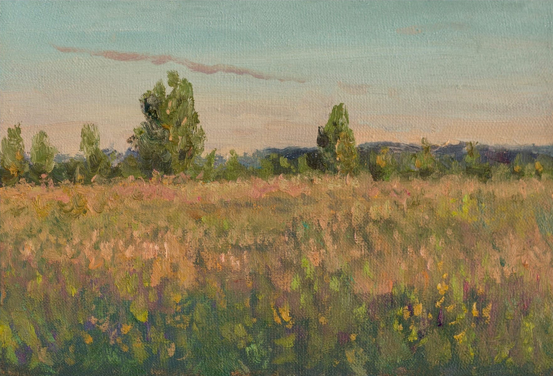 теплый вечер. июль