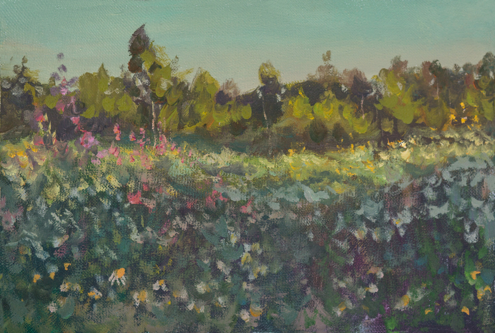 летний вечер