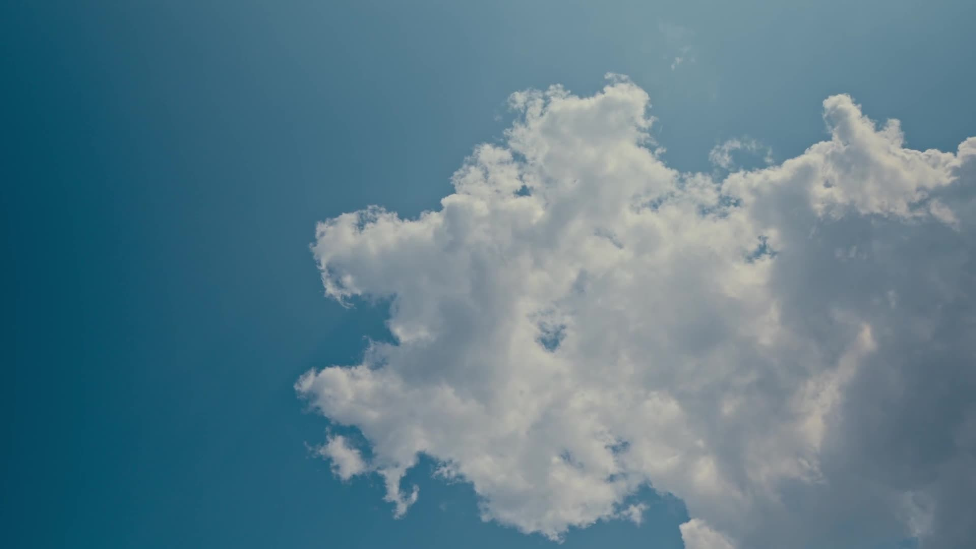 Свадебные видео. Свадебный и репортажный фотограф Дмитрий Кононенко