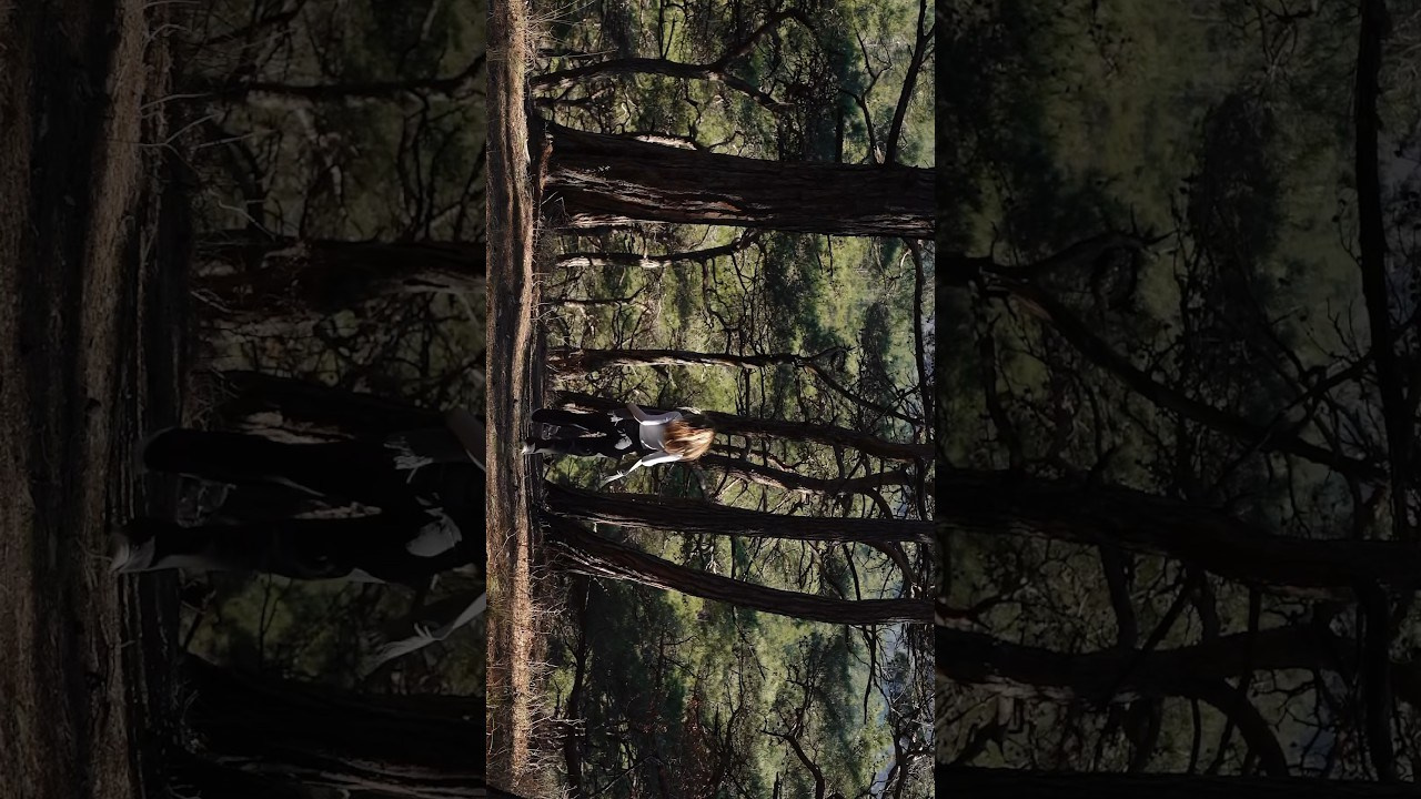 Film. Фотограф и видеограф Елена Хмелевская