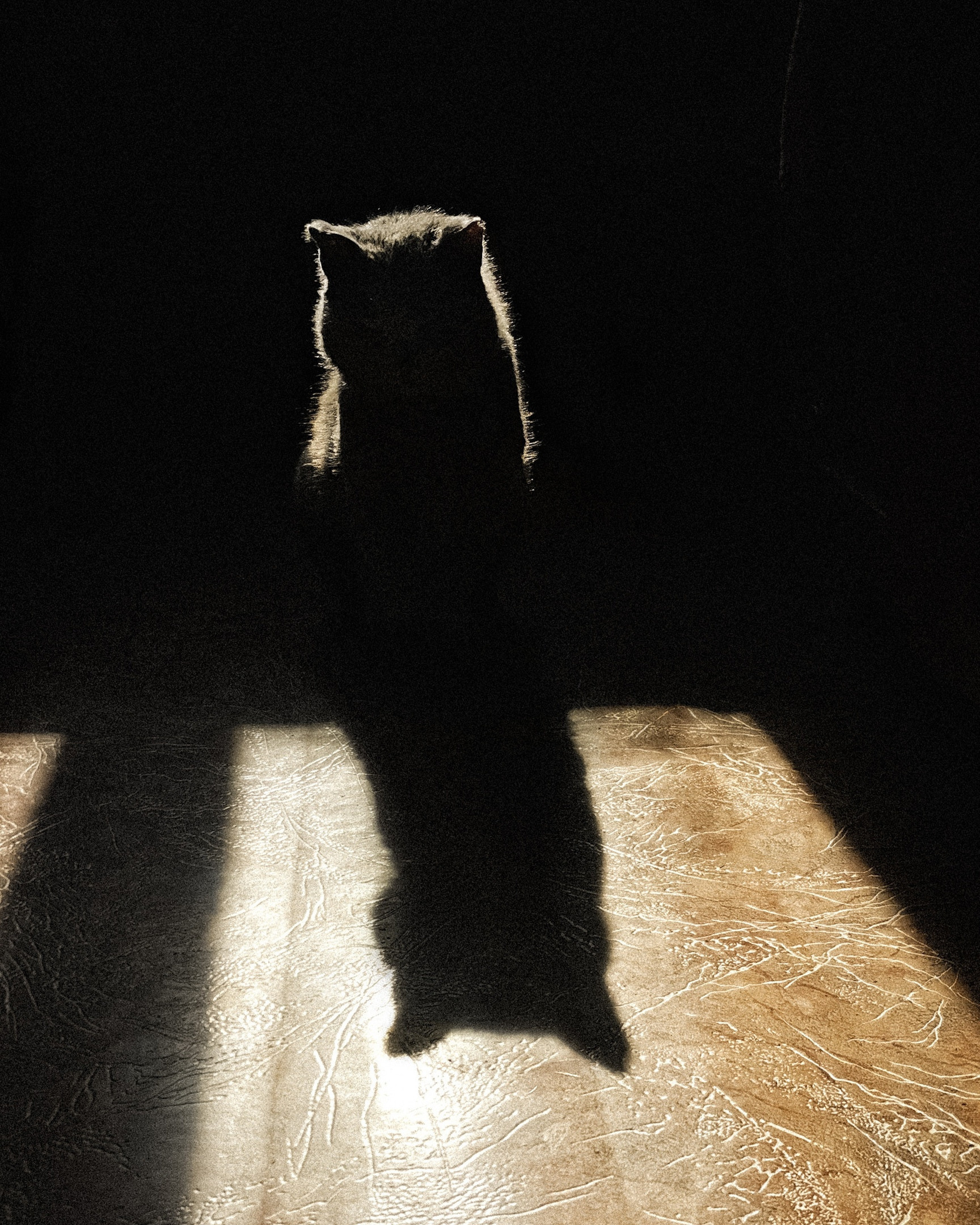 Татьяна Козлова детский фотограф Москва