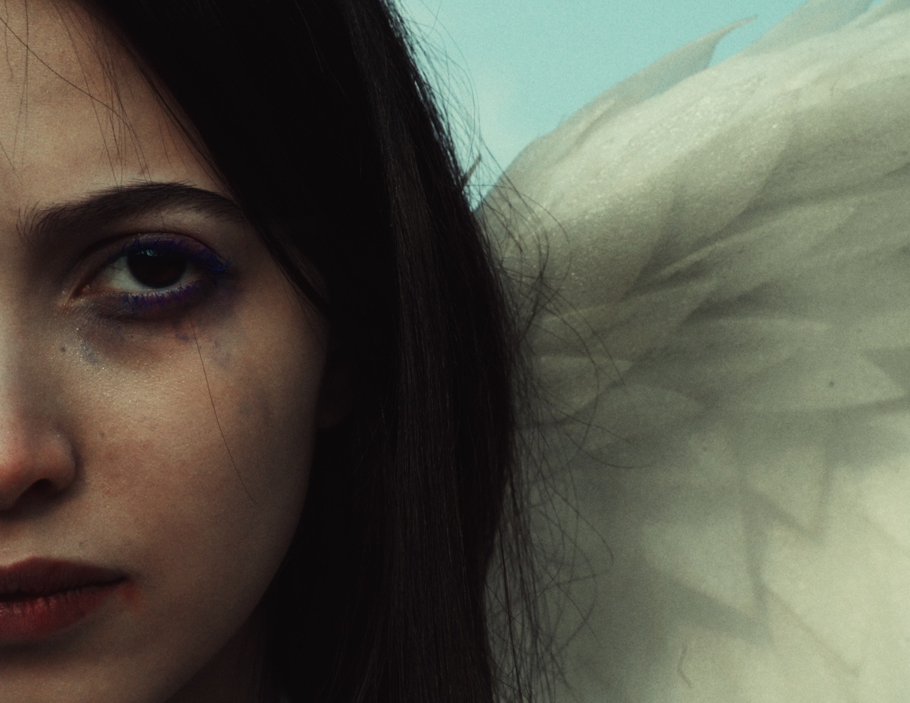 ФОТО портфолио. VetkasART