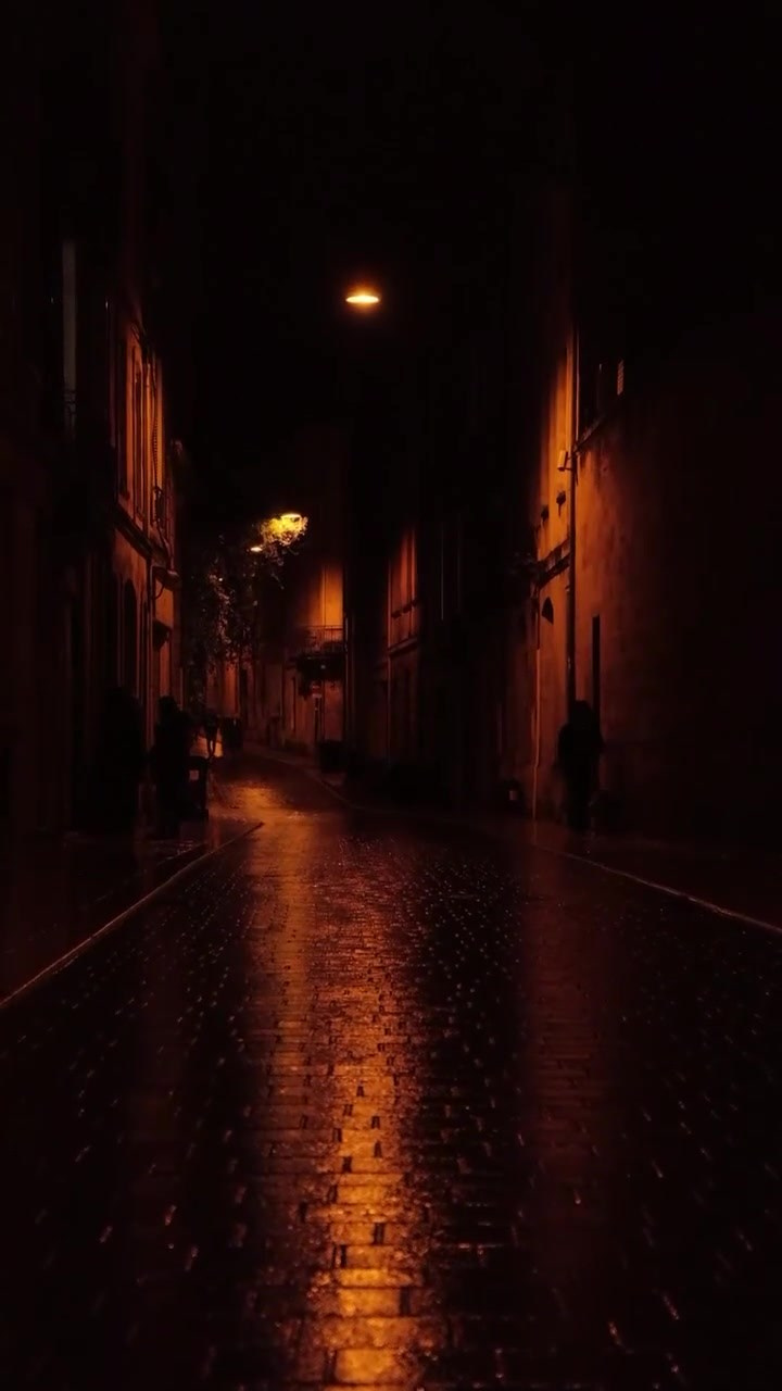 Видеосъемка. Владимир Репин Фотограф Санкт-Петербург