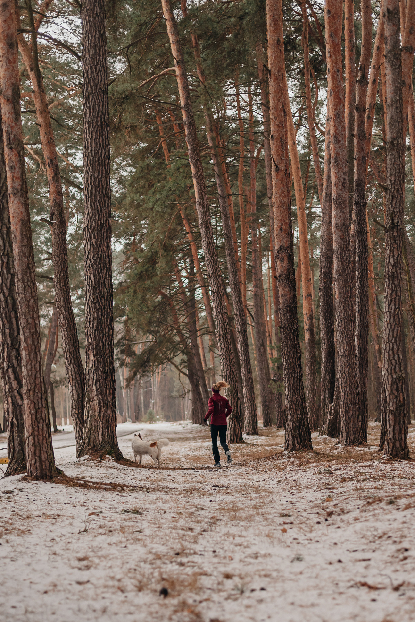 Как мы бегаем зимой?