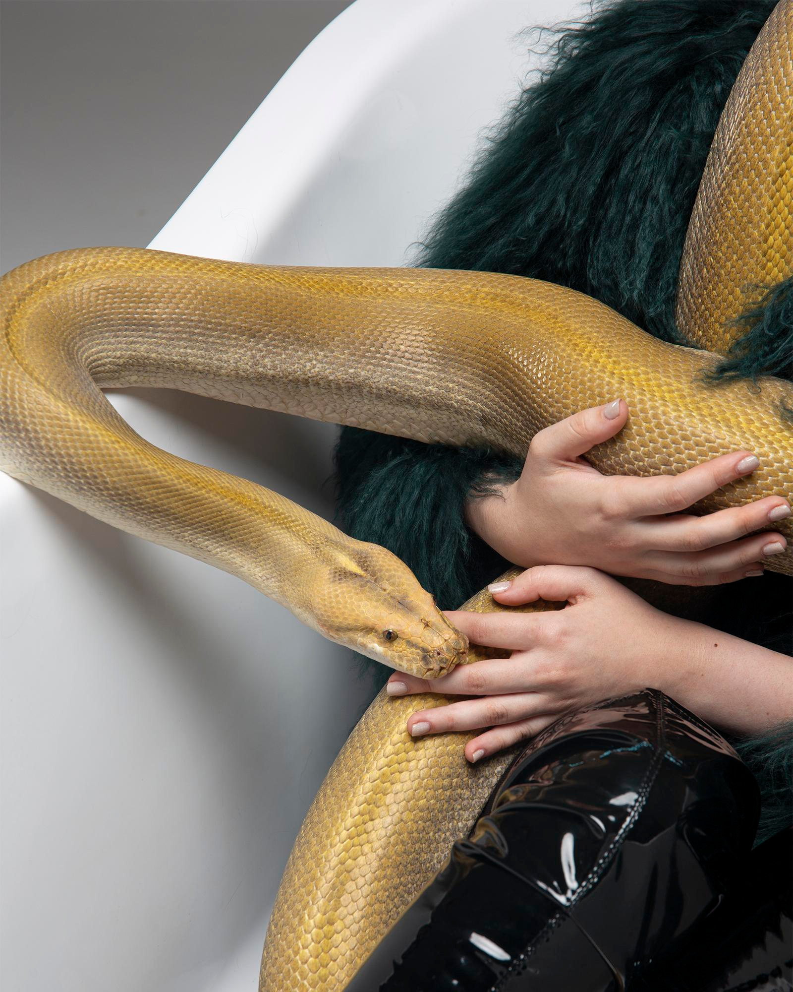 Съемка с доберманами. Студийный, предметный и репортажный фотограф в Владивостоке