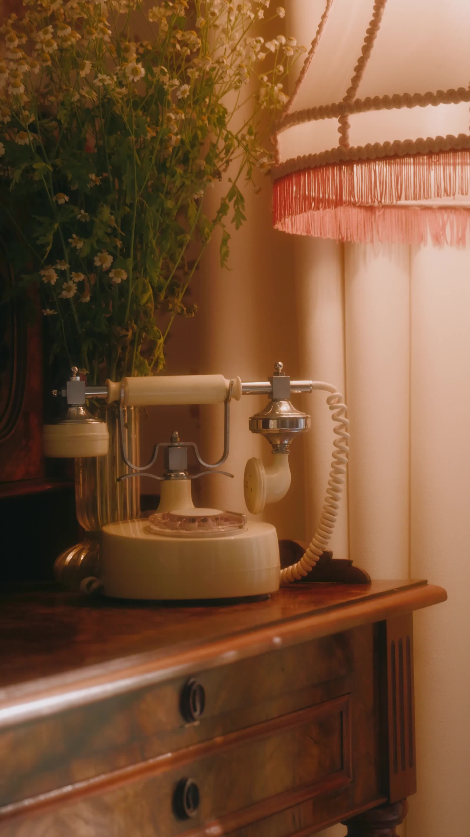 REELS. ALEXVIKI FILMS — свадебная видеосъёмка, съёмка мероприятий и fashion брендов