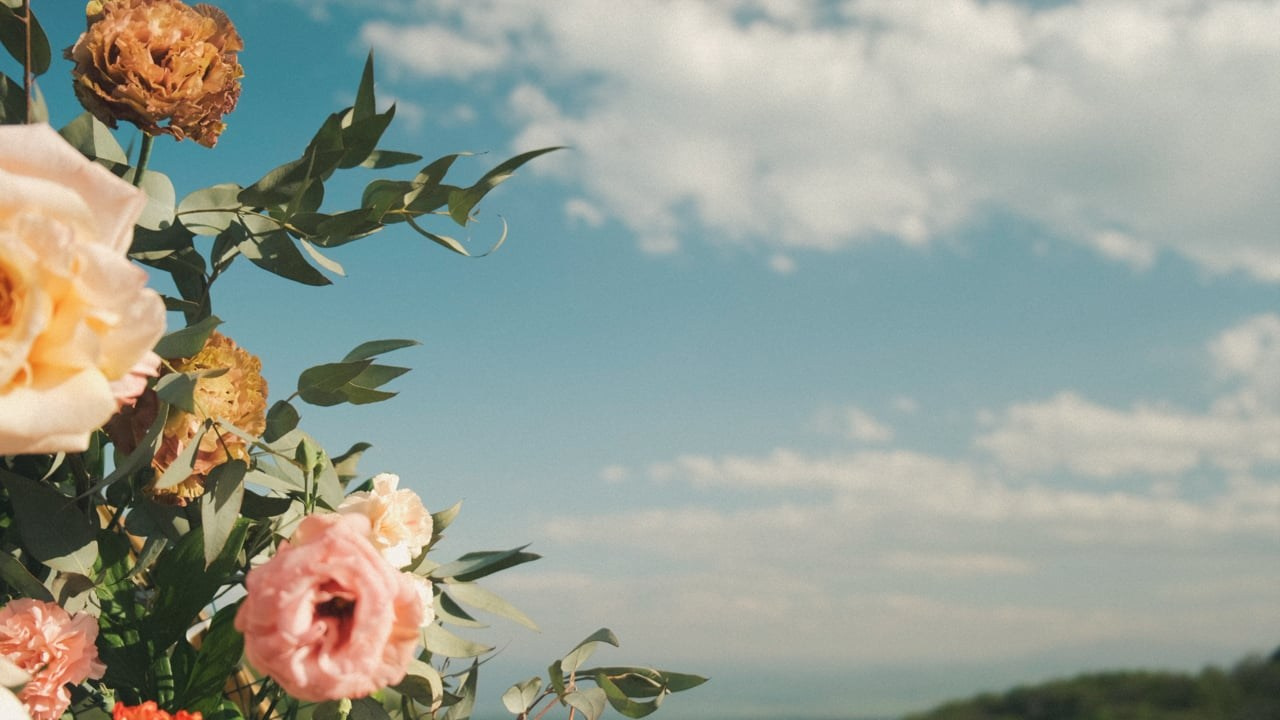 Свадебная видеосъемка. Семейный и контент-видеограф в Тбилиси Чижикова Наталья