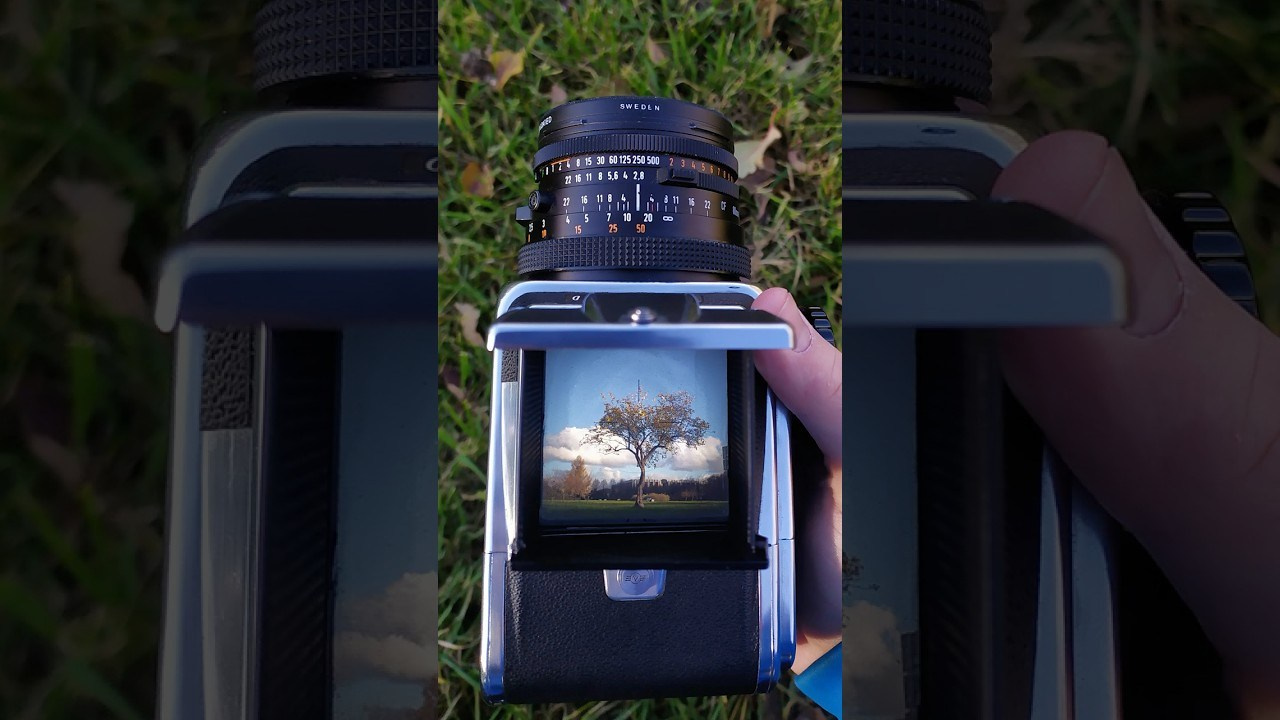 Мой путь в плёночной фотографии. Colorist Ivan Serzhanov