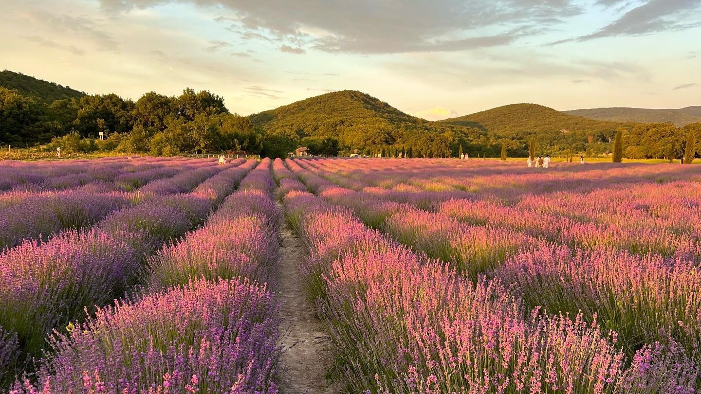 Локации в городе Анапа для семейной (лове стори и индивидуальной)съемки. Фотограф и Видеограф Анапа, Новороссийск, Краснодар. Алина и Женя