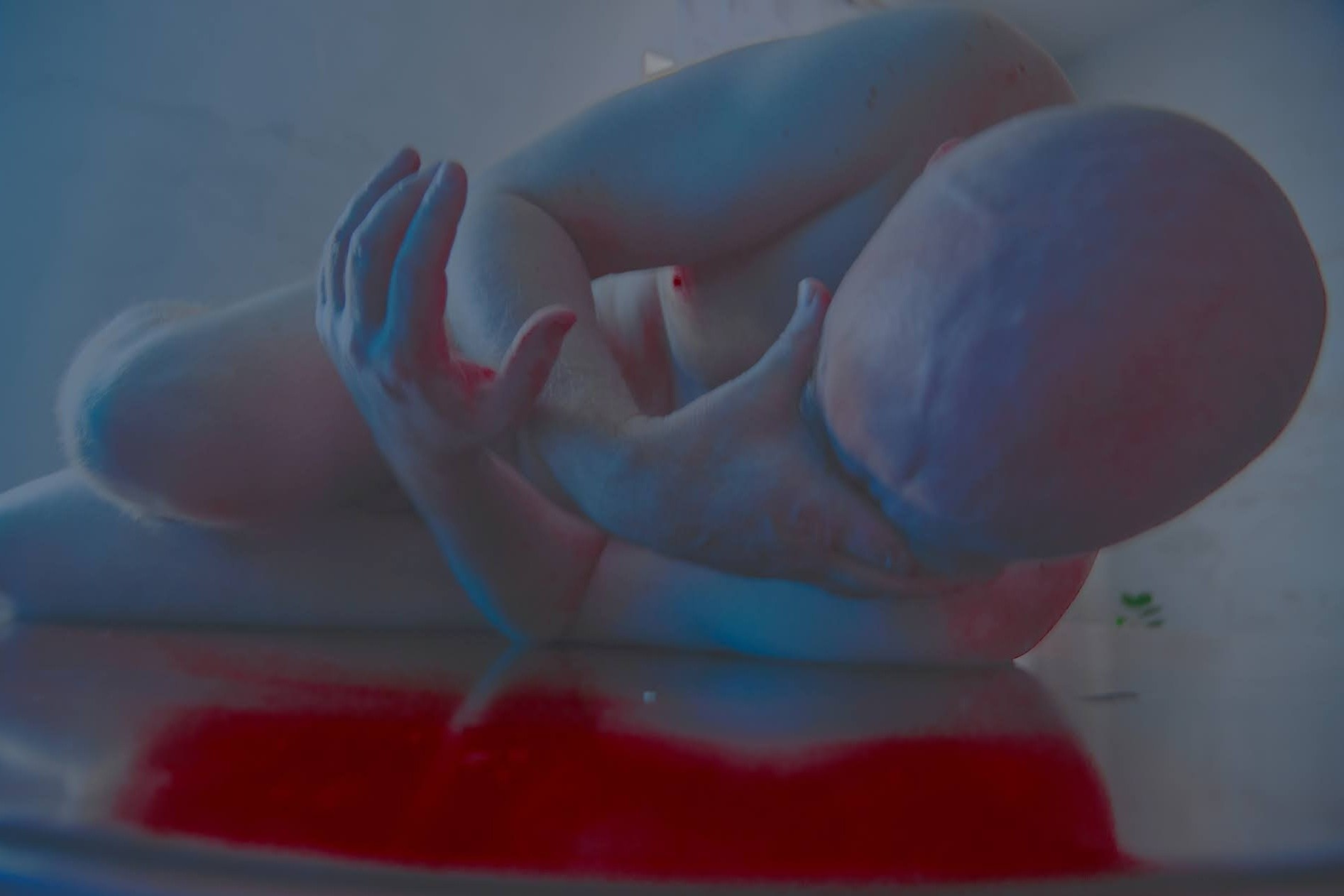 Обновление. Катерина Малама арт-фотограф