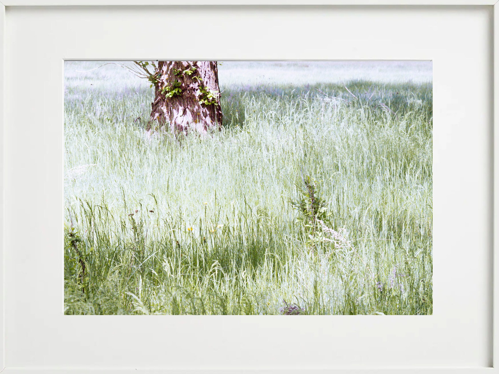 Пейзажи. Фотограф Дарья Морозова