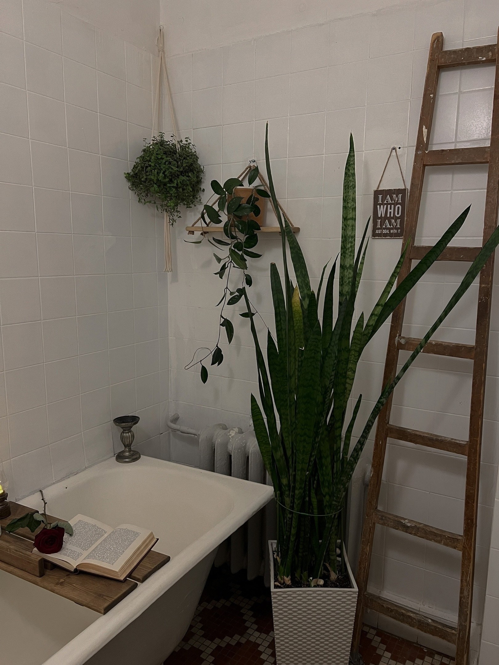 Фотостудии для свадебной фотосессии в Москве