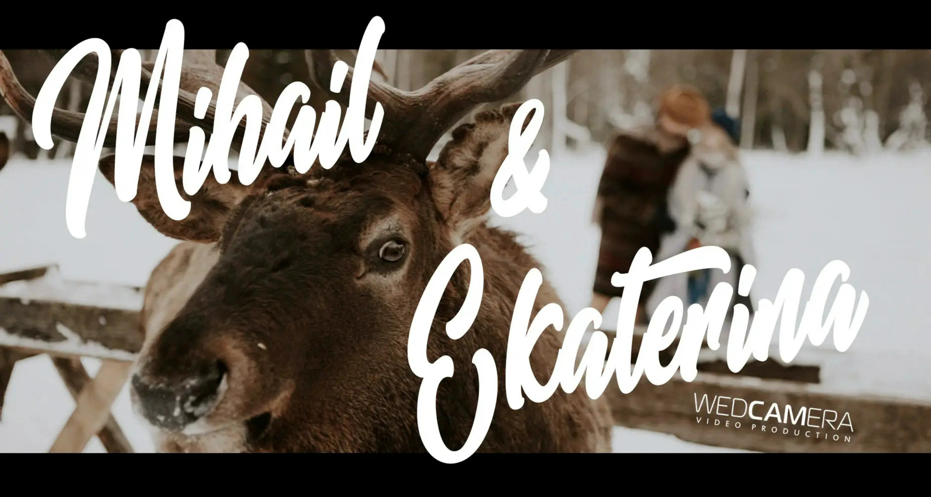 Видеограф Каменецкий Константин